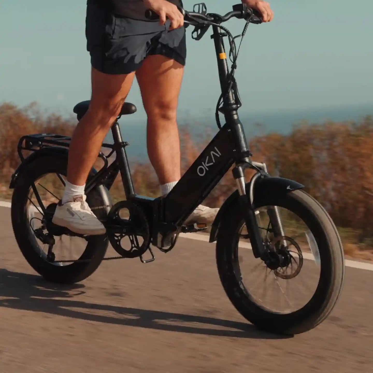 FlexMov EBF10 Folding EBike