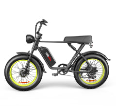 C91-20 Inch Dual-drive High-speed Electric Bike
