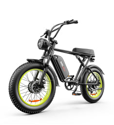 C91-20 Inch Dual-drive High-speed Electric Bike