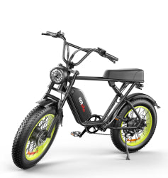 C91-20 Inch Dual-drive High-speed Electric Bike