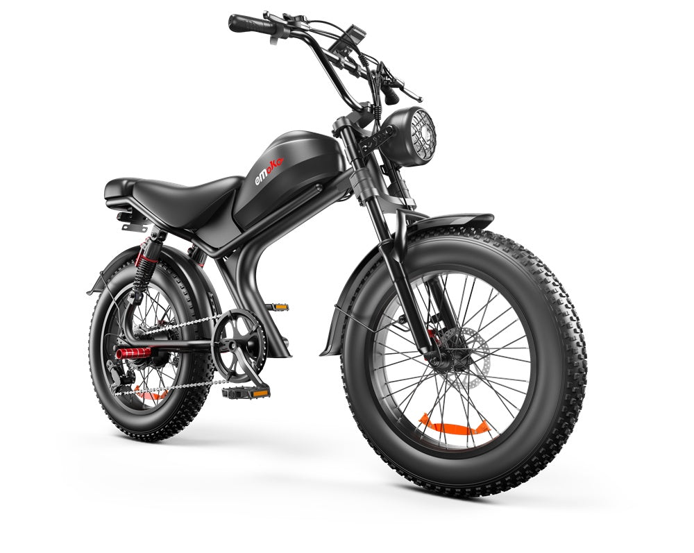C93- Dual-drive High-speed Electric Bike