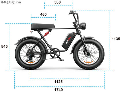 C91 - 20 Inch 20A Electric Bike ---- Purchase Style, Please Check The Details