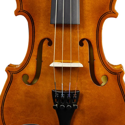 Brand New 1/4 Acoustic Violin With Hard Case,Violin Bow,Shoulder Rest,Rosin,Extra Strings And Sourdine
