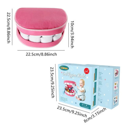 Dentist Toys for Preschool - Educational Teeth  Brushing Toys