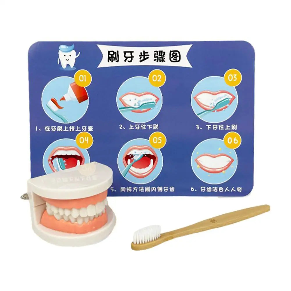 Dentist Toys for Preschool - Educational Teeth  Brushing Toys