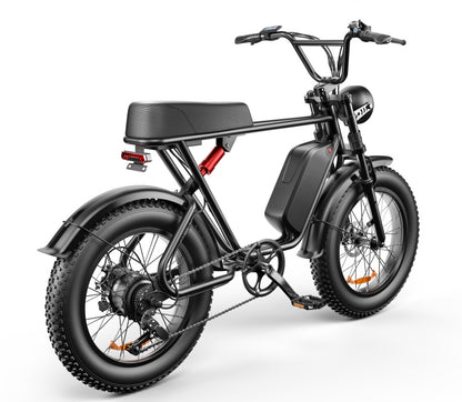 C91 - 20 Inch 20A Electric Bike ---- Purchase Style, Please Check The Details