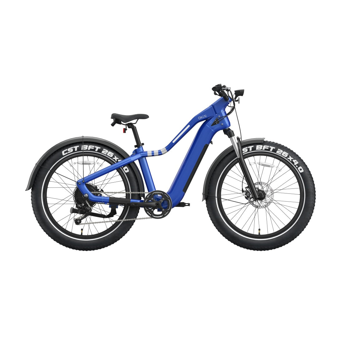 Ranger EB50 EBike