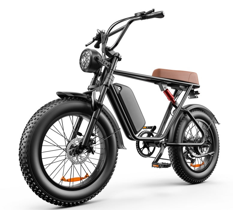 C91 - 20 Inch 20A Electric Bike ---- Purchase Style, Please Check The Details