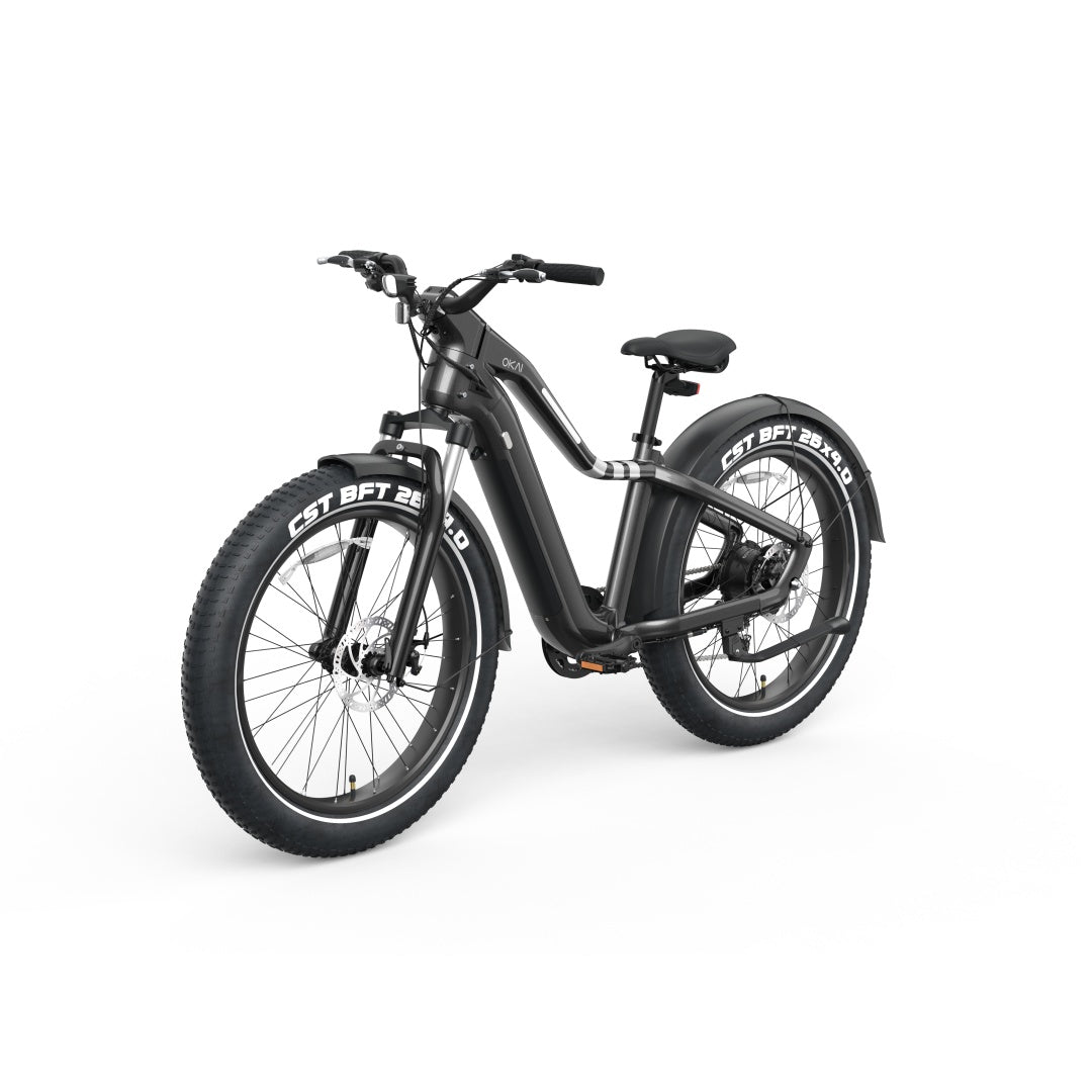 Ranger EB50 EBike